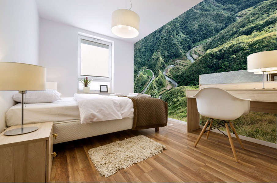 S-Shaped River Rice Valley Mural print