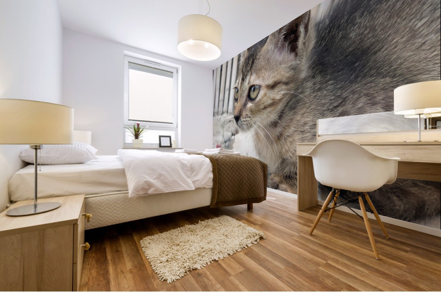 Cute Kitty Mural print