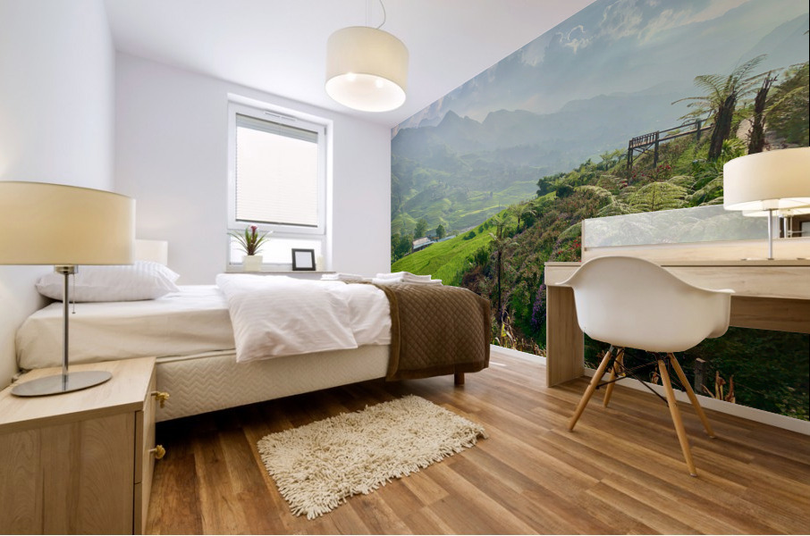 Dreamy Sunset on the Rice Fields Mural print