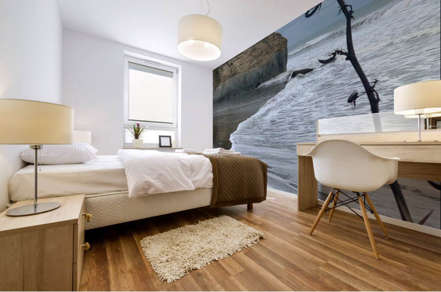 Black Sand on the Coast Mural print