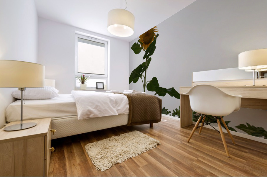 Mysterious Sunflower Mural print