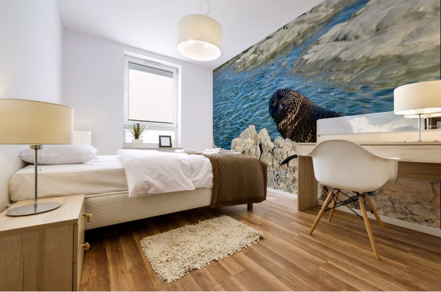 Seal Looking Back at You Mural print