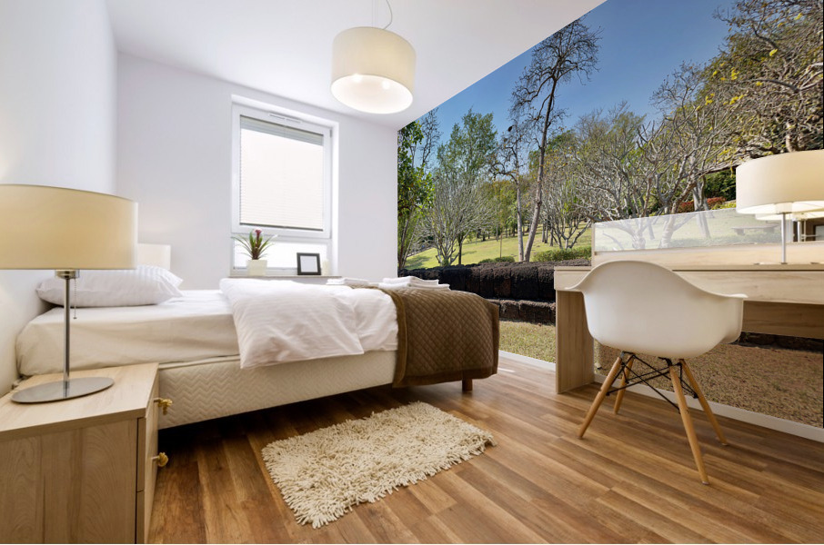 Half Wall Protection Mural print