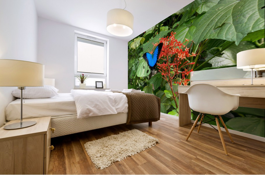 The Blue Butterfly Mural print