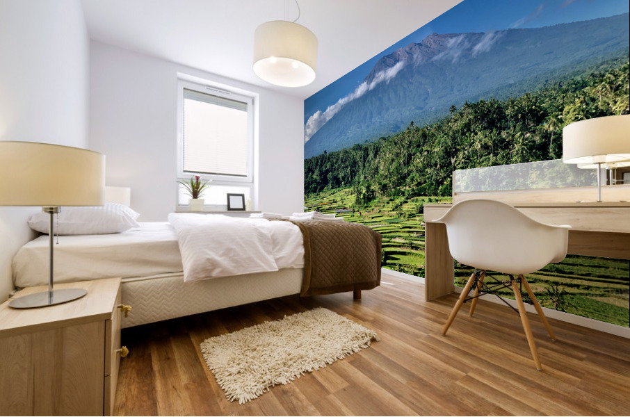 Mount Agung with Rice Fields Bali Mural print