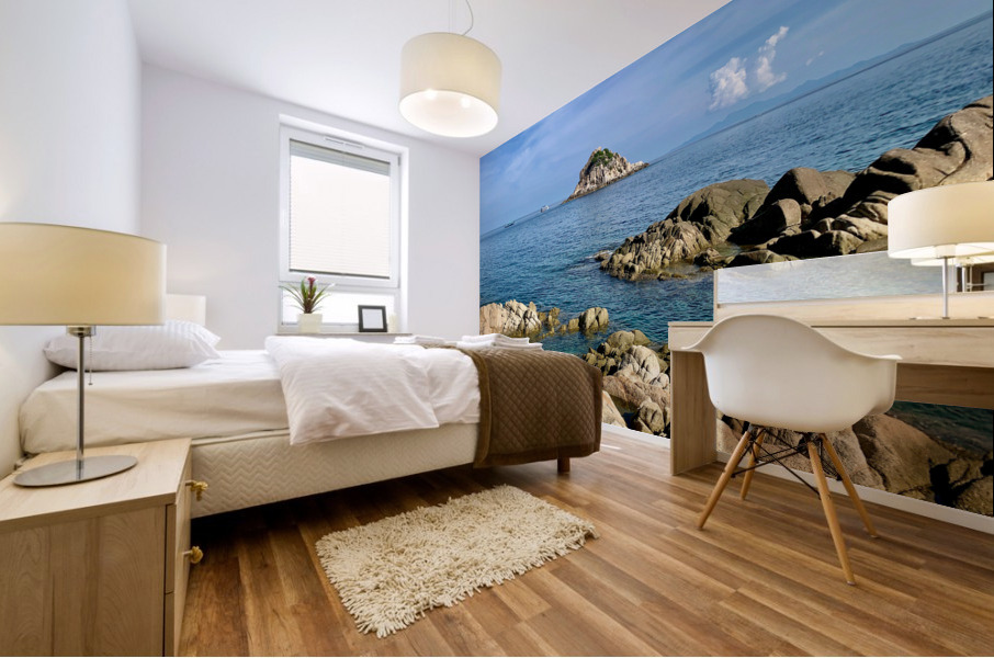 Sharks Island Koh Tao Thailand Mural print