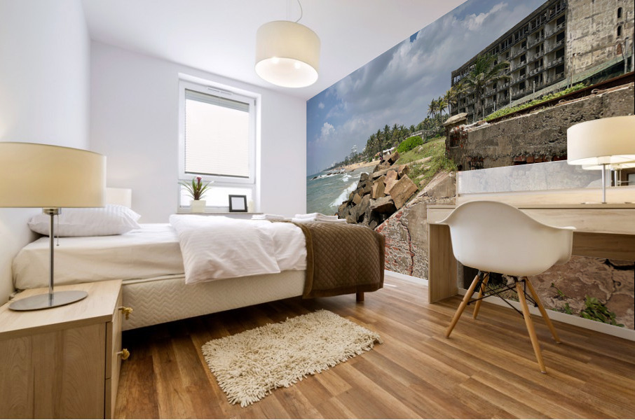 Sri Lankan Coast Mural print