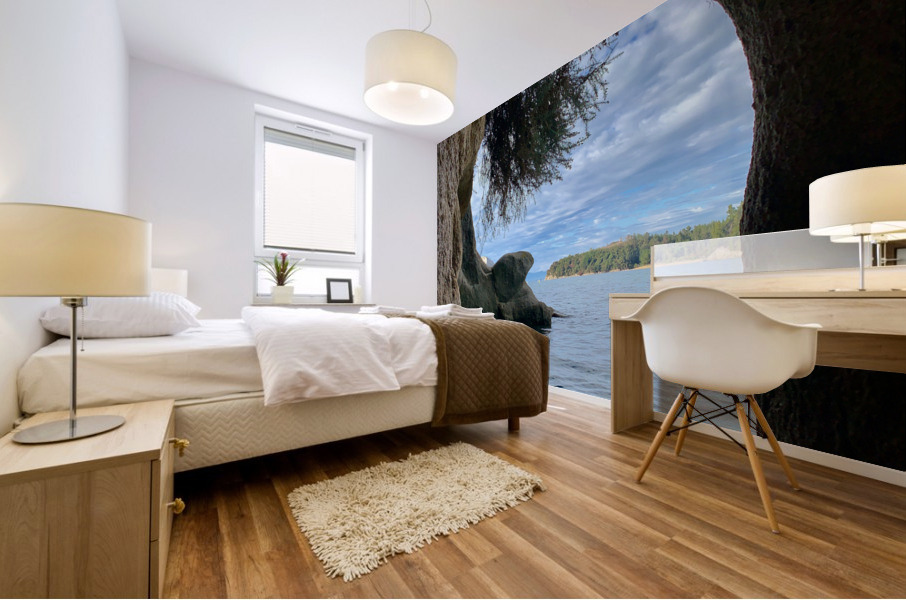 Kayaking Out of a Cave Mural print