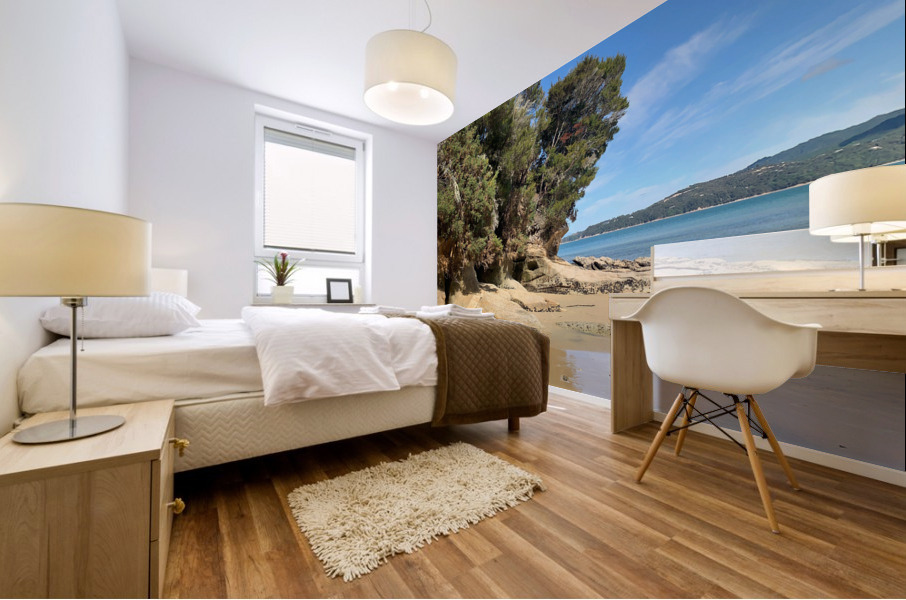 Abel Tasman National Park New Zealand 3 Mural print