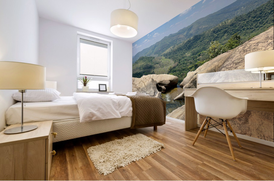 Top View of Diyaluma Falls 2 Mural print