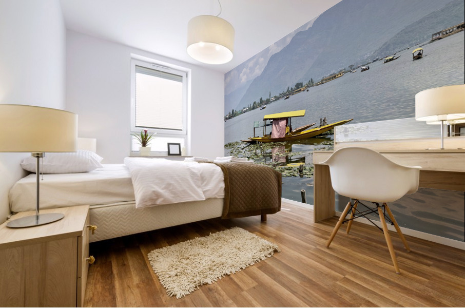 Dal Lake Srinagar 9 Mural print