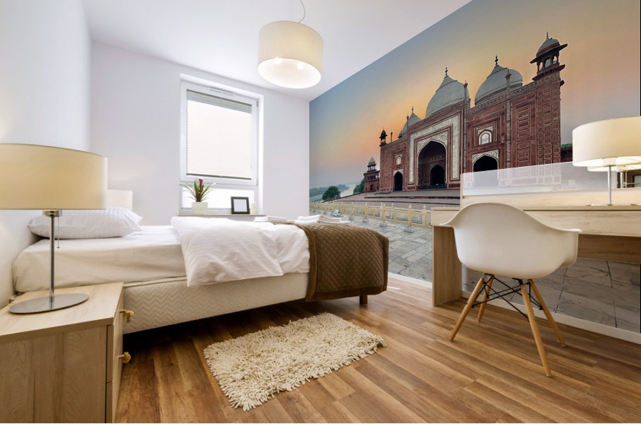 The Taj Mahal Collection 20 Mural print