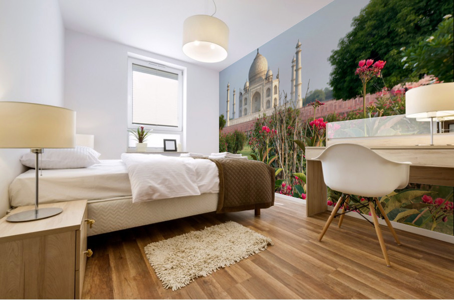The Taj Mahal Collection 1 Mural print