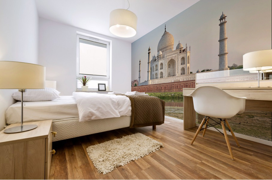 The Taj Mahal Collection 12 Mural print