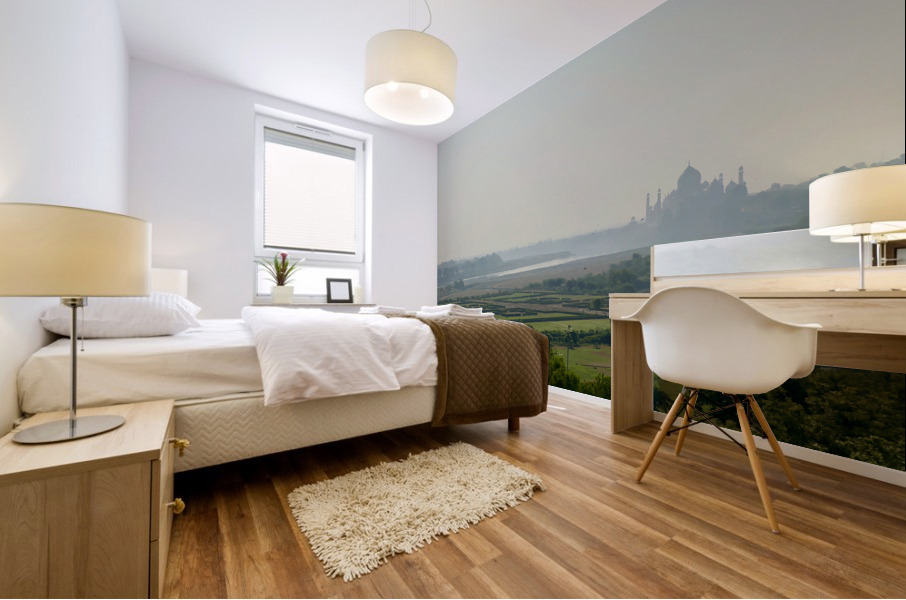 The Taj Mahal Collection 6 Mural print