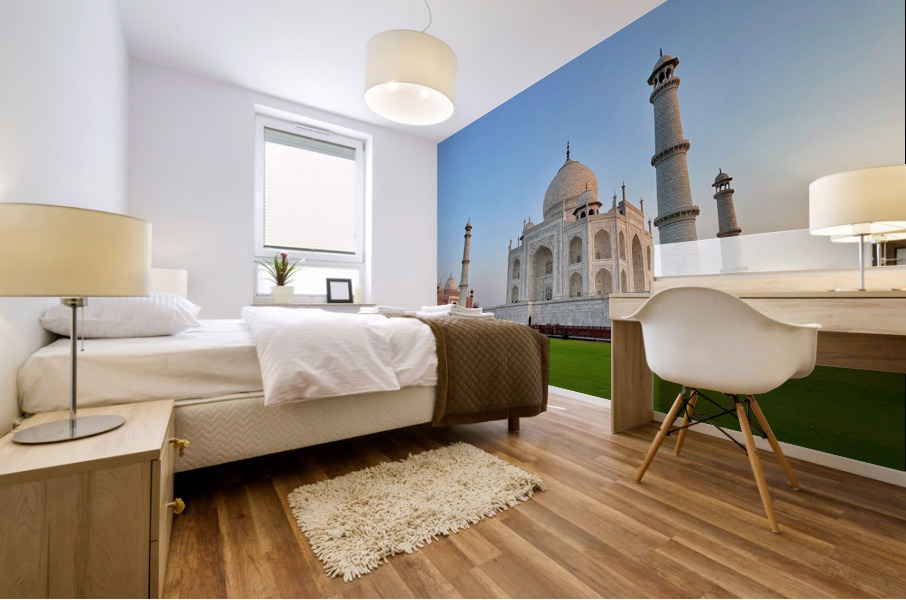 The Taj Mahal Collection 25 Mural print