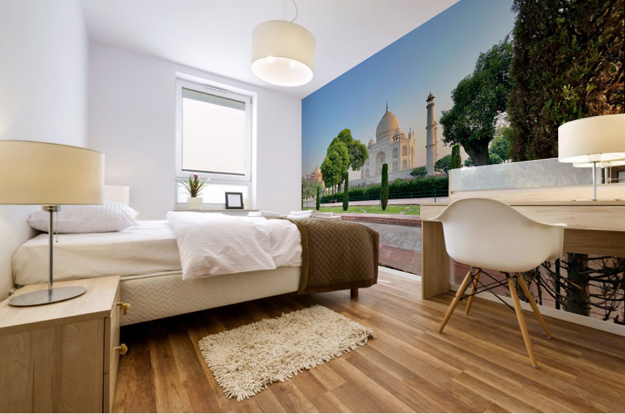 The Taj Mahal Collection 26 Mural print