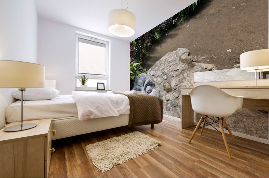 Face in the Ground Munduk Bali Mural print