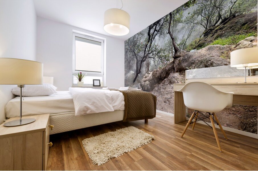 Cibuni Rengganis Crater Java Indonesia 6 Mural print