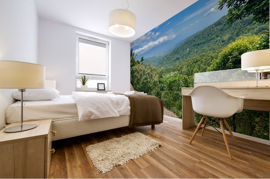 From the Rooftop Munduk Bali Mural print