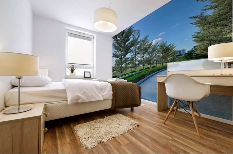 Park in Bandar Seri Begawan Brunei Mural print