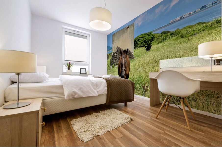 Seopjikoji Jeju South Korea 2 Mural print