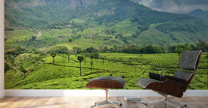 Tea Plantations 2 Wall Murals