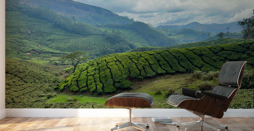 Tea Plantations 4 Wall Murals