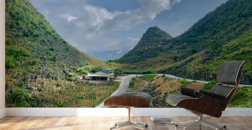 Little Peak House Wall Murals