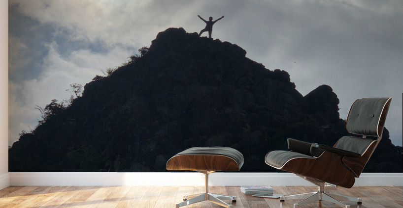 King of the Hill Wall Murals