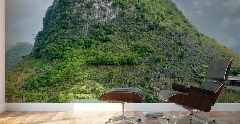 Living by the Hill Wall Murals