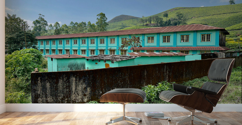 Living in the Tea Plantation Wall Murals