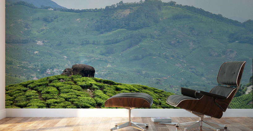 Rock on Top of Tea Wall Murals
