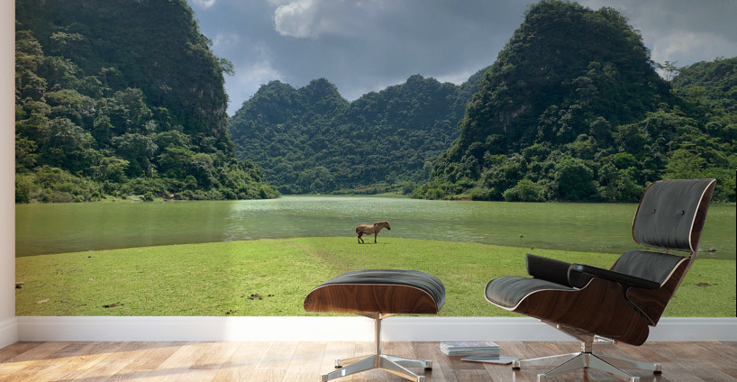 Lonely Horse Wall Murals