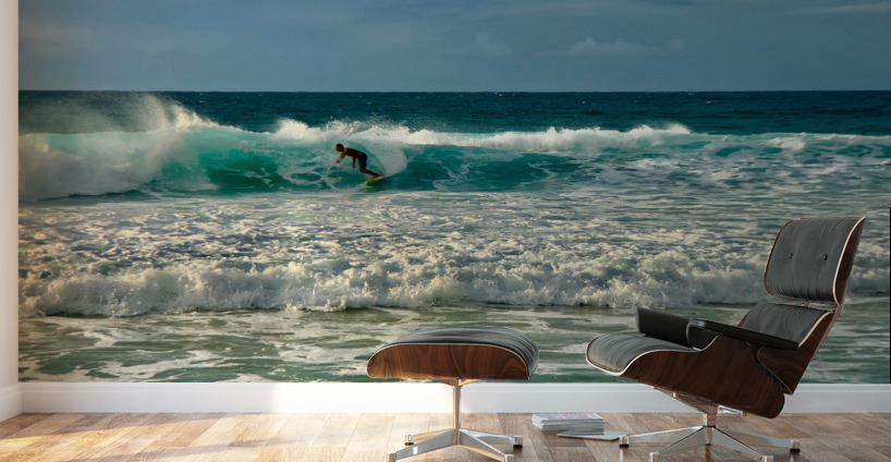The Surfer Wall Murals
