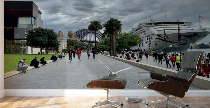 Fly for the Cruise Wall Murals