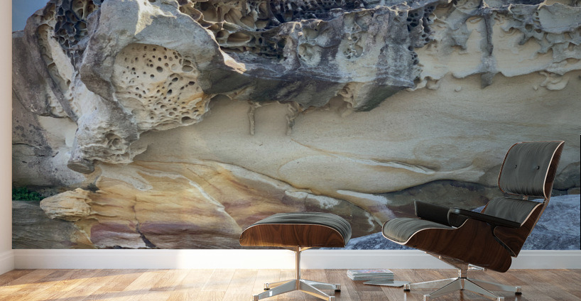 Special Rock Art Wall Murals