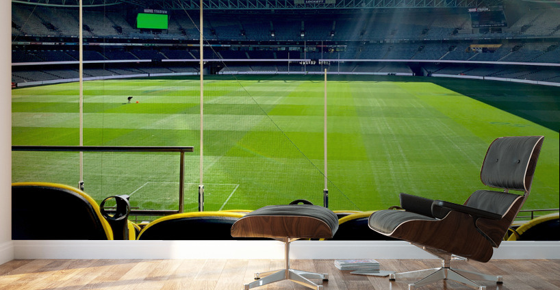 Australian Football Stadium Wall Murals