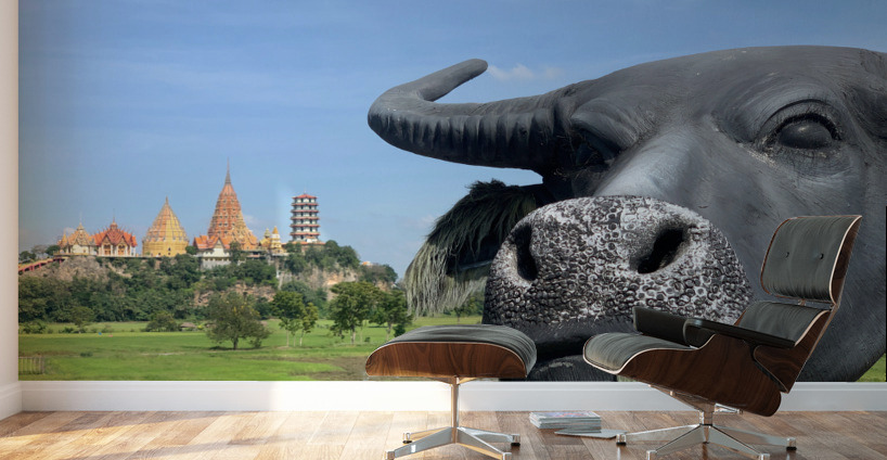 Water Buffalo Head in front of Temple Wall Murals