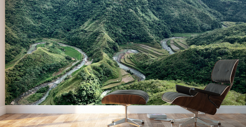 S-Shaped River Rice Valley Wall Murals