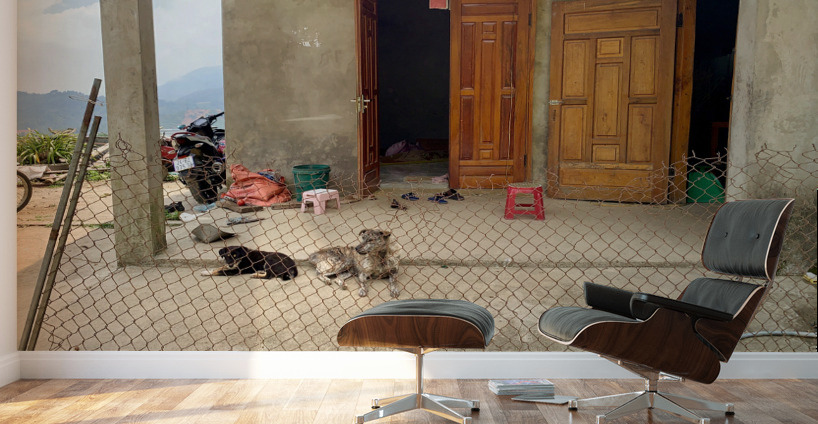 Behind the Crooked Fence Wall Murals