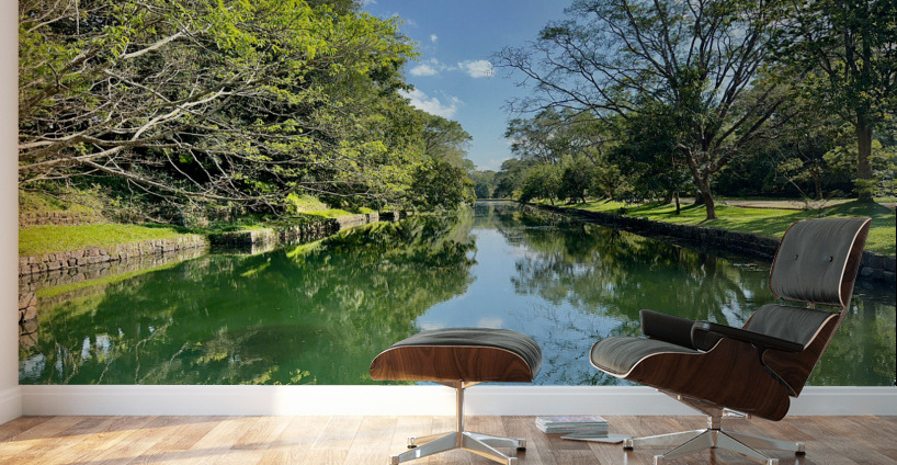 Both Side Reflections Wall Murals