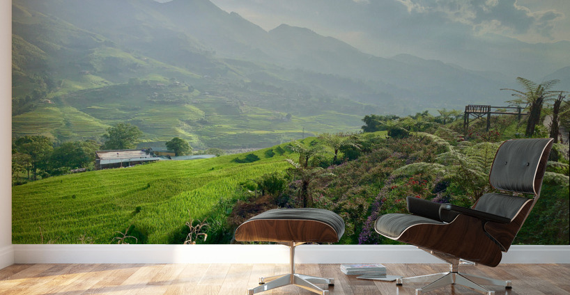 Dreamy Sunset on the Rice Fields Wall Murals