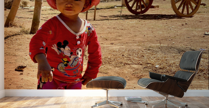 Little Girl on the Farm Wall Murals