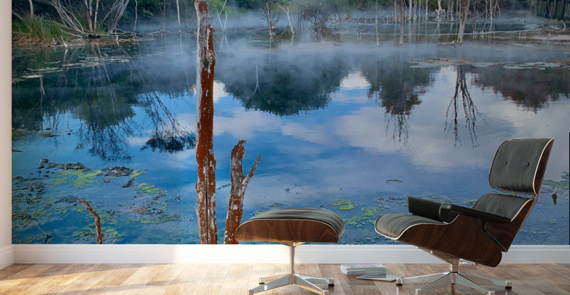 Mysterious Reflection Wall Murals