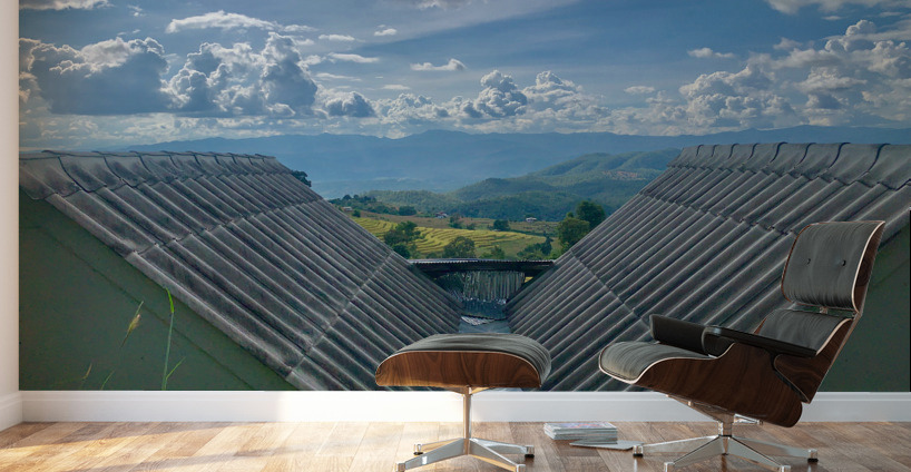 V Roof View Wall Murals