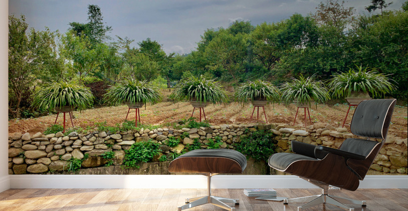 Plant Pots on a Stand Wall Murals