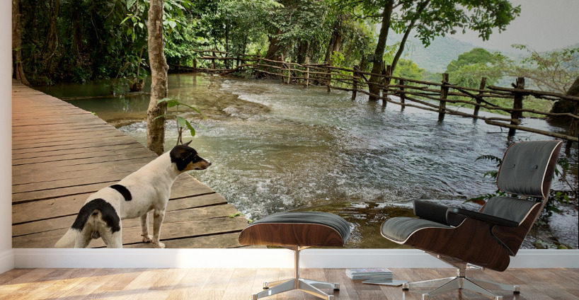 Dog Looking at the Horizon Wall Murals