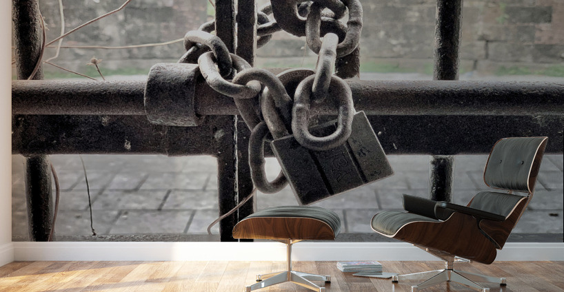 Locked Up Wall Murals