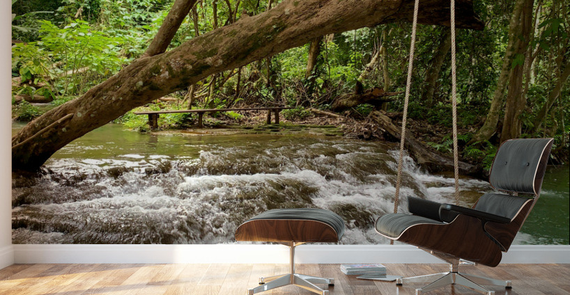 Swing in the Jungle Wall Murals